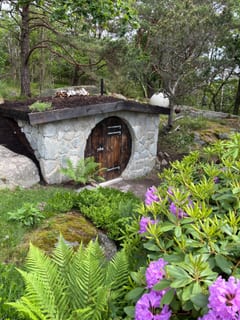 Jordkällare omgiven av ormbunkar och blommande rhododendron.